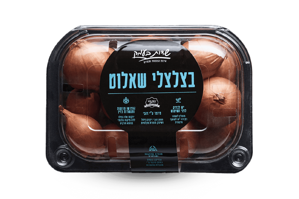 בצלצלי שאלוט