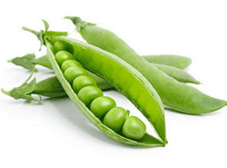 אפונה טרייה