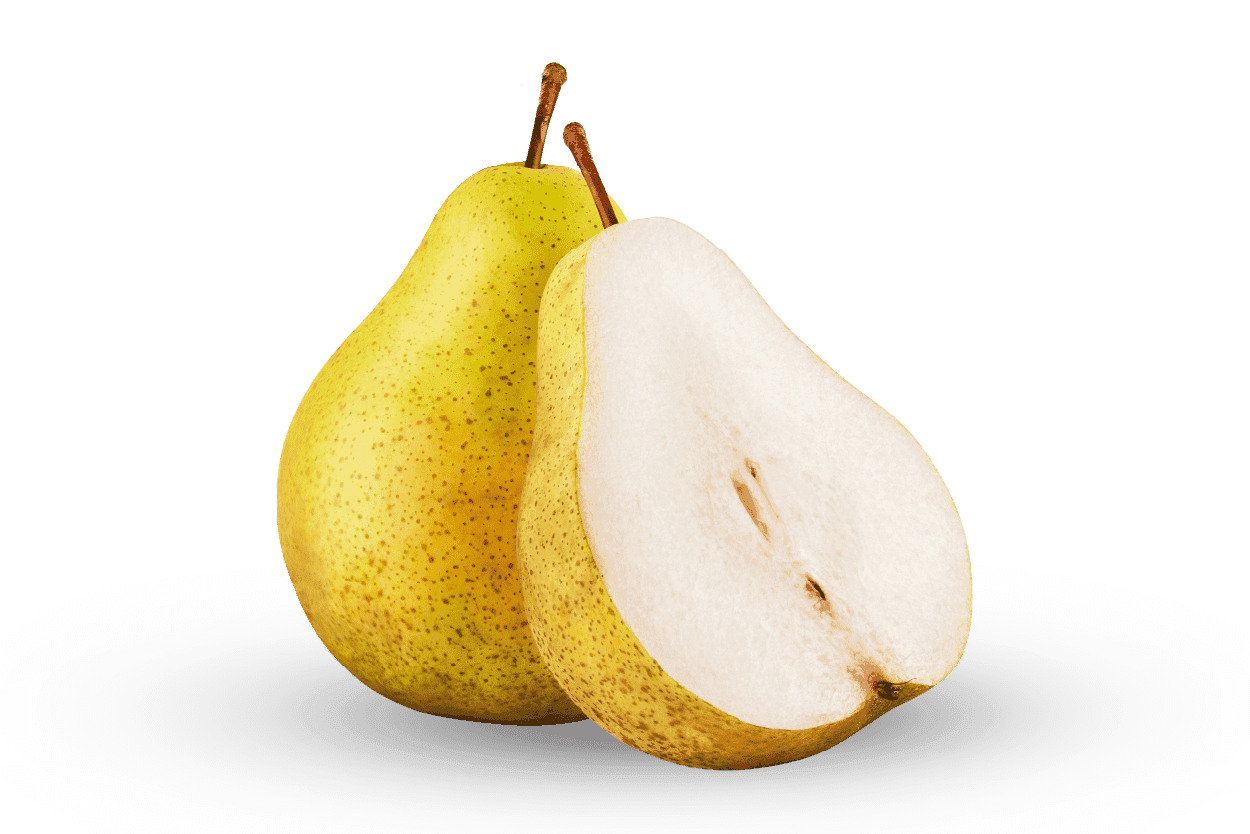 אגס ספדונה אגס ספדונה