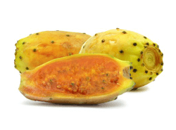 סברס קלוף סברס קלוף