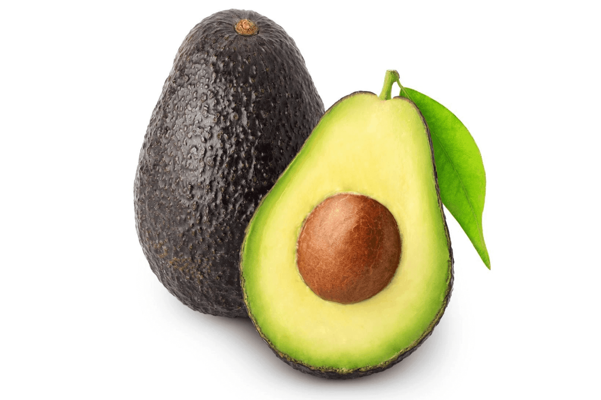 אבוקדו האס אבוקדו האס